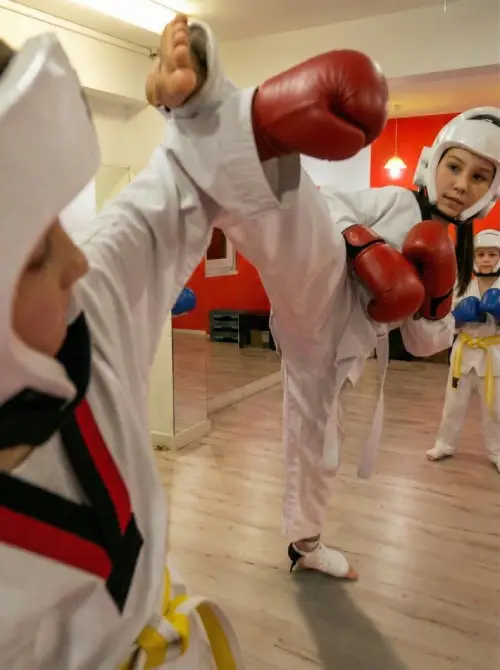 sala de antrenament taekwondo Bucuresti