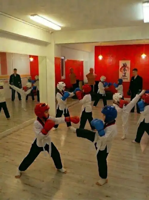 studio taekwondo team castiga primul loc